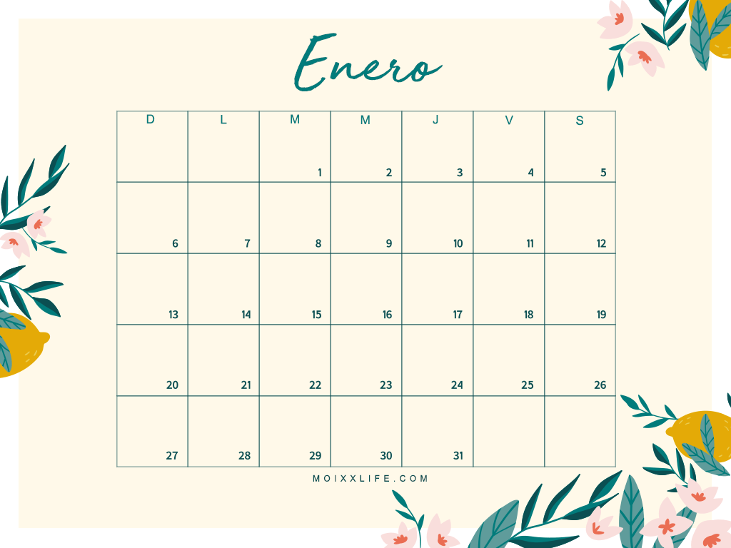 PLANNER Y CALENDARIO ENERO 2019 (DESCARGABLE)