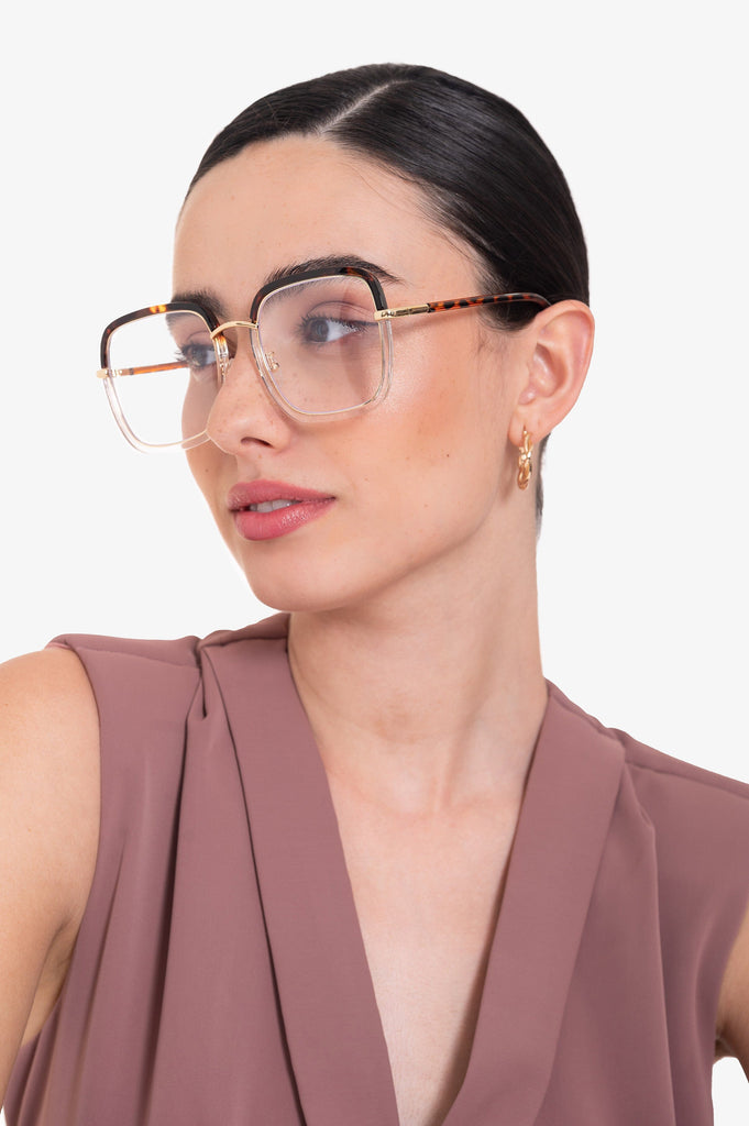 Lentes Aesthetic - Marron LENTES MOIXX 